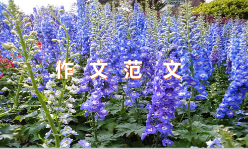 2021年学生个人学习计划范文