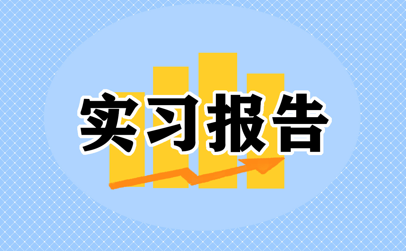 顶岗实习个人总结