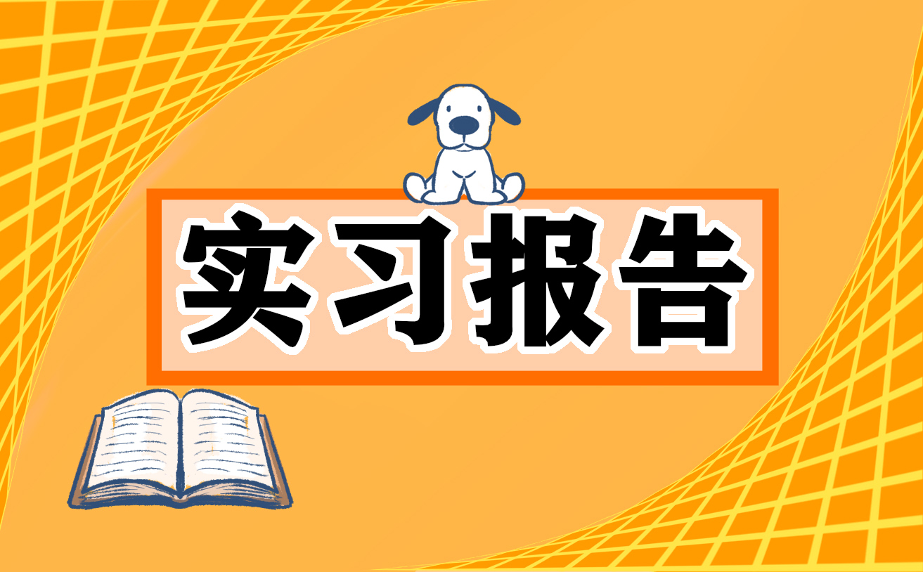 大学生实习总结范文