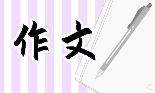 最新四川眉山中考语文作文2024