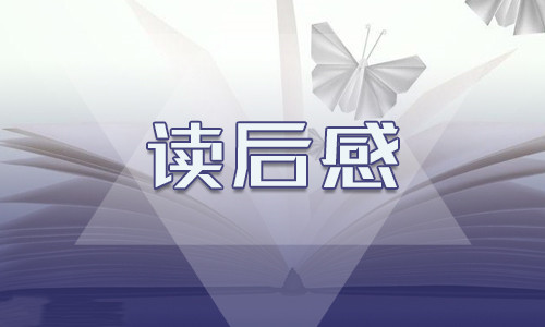 2024年爱的教育小学生读后感作文